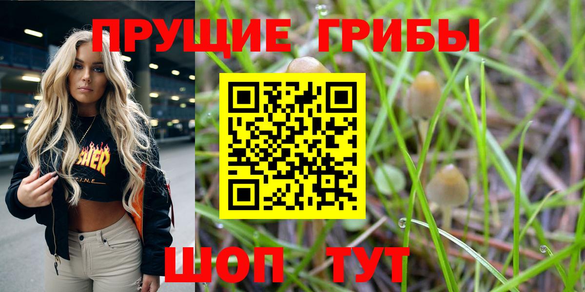 Псилоцибиновые грибы Cubensis  Вход с VPN  Тосно  Галлюциногенные грибы ЛСД 