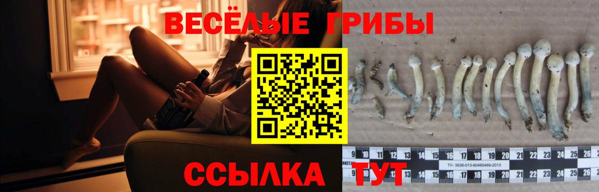 Псилоцибиновые грибы Magic Shrooms Тосно